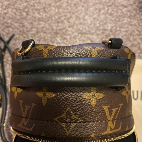 Louis Vuitton Palm Springs mini - Picture 4 of 9